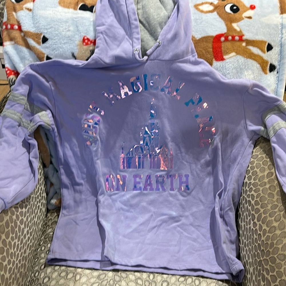 Disney Iridescent Most Magical Place on Earth hoodie